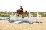 SBM_006968
