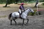 WJ5_1530