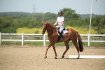 SBM_008895