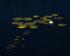 WATER LILY - BRUCE COUNTY