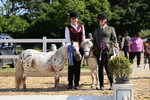 Class 3: Youngstock 1, 2, 3 year old not to exceed 153cm portfolio