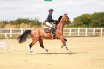 SBM_006593