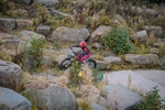 DSCF0607