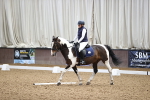 SBM_1541