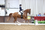 SBM_020060