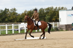 SBM_004446