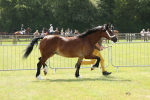 SBM_02337