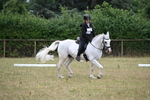 WJ6_2483