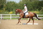 SBM_008688