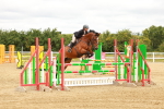 SBM_002295