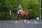 WJ5_8597