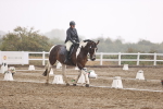 SBM_004795