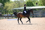 WJ6_9615