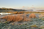 Newport Pembrokeshire