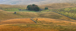 Ribblesdale