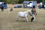 WJ6_5946