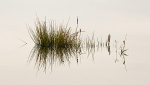 Testwood Lakes IMG_1604