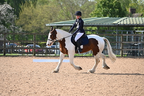 WJ6_6767