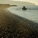Early Morning Rower