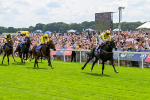 260725-Race 3-Royal Champion-0454