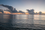 Seychelles - Denis Island portfolio