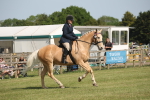 SBM_09644