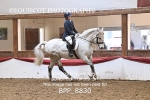 BPP_8830