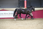 SBM_05032