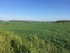 08 Country views