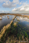 Wet-grassland at Portmore Lough