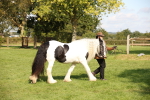 SBM_62264