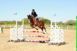 SBM_000954