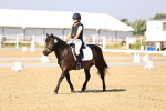 SBM_002733