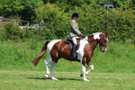 3E7A8635