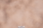 240505A-170600-07297