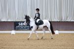 SBM_001311