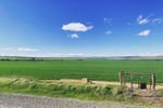 Green field somewhere in South Australia