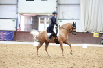 SBM_021529