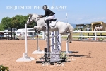 BPP_1578