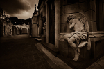 Recoleta Cemetery, Buenos Aires portfolio