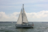 161022 SYLPHE GBR7456T - BENETEAU Y92A8700