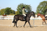 SBM_02168