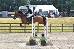 Cls 13a & 13b Pony Fox & 1.10 open portfolio