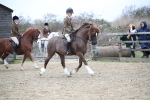 SBM_006299