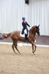 SBM_014488
