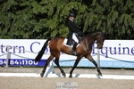 174-LANCELOT_BMG-Alfie_Marshall-WEDTrotUp+DR portfolio