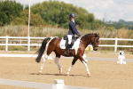 SBM_000382