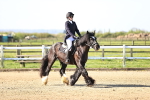 SBM_000183
