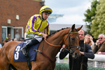 Race 4 portfolio
