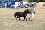 WJ6_6809